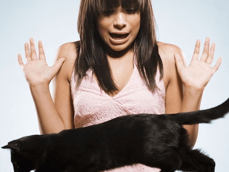 femme ayant la phobie d'un chat
